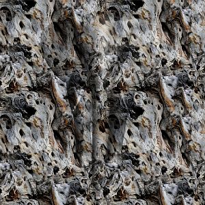 Olive Tree Bark 3