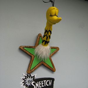 finsneetch1