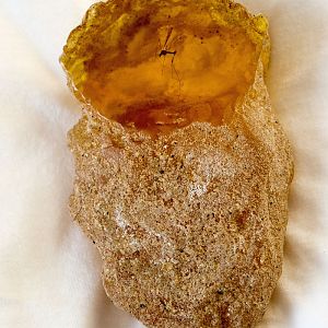 Mined amber chunk from the mine scene at the beginning of Jurassic Park.