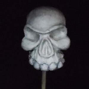 Skull Practice
Sculptex Clay (HARD)