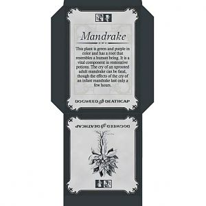 Mandrake Seed Packet small