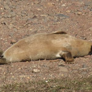 catchin some rays