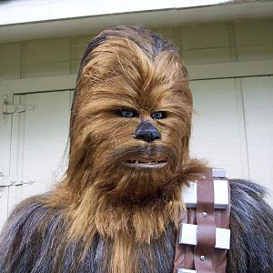 Custom Built Lifesize Chewbacca Statue with wearable mask.
Stands 7' 2" tall.  Looking for feedback.......