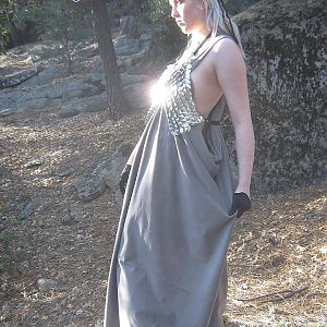 Scalemaille vest, leather and fabric draped dress.