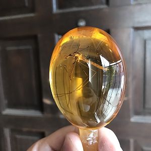 Amber Egg