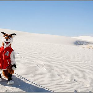 Comb the desert