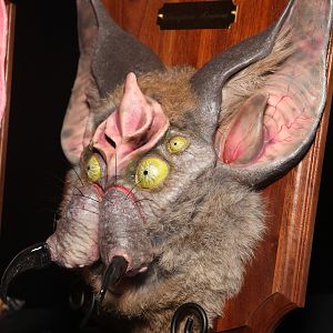 Monsterpalooza 2012