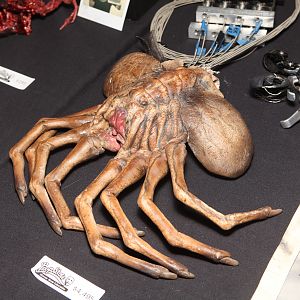 Monsterpalooza 2012