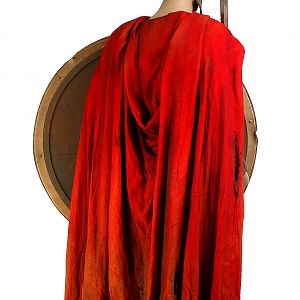 300 - Spartan Costume