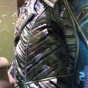 Man of Steel - Jor-El Costume