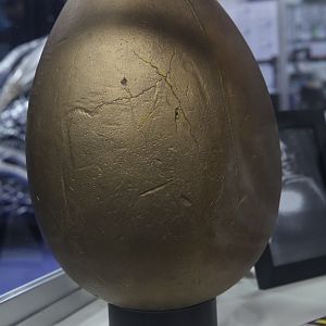 Willy Wonka golden egg