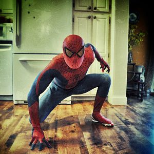 The Amazing Spider-Man Costume