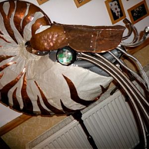 nautilus