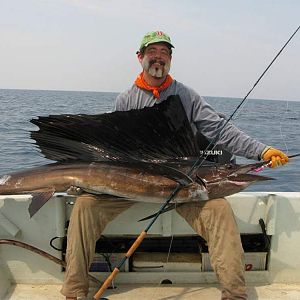 big sailfish copy