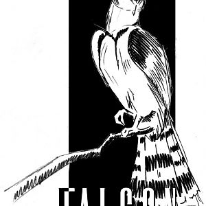 Falcon 2007