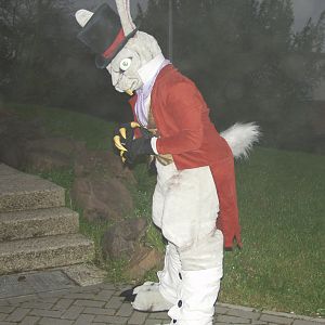 Saer - The White Rabbit