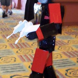 Whatchya' lookin' at? (Botcon '10)