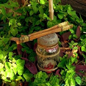 "What be wrong with an older man having a hobby?" Captain Hector Barbossa's Jar of Frog!