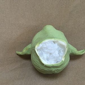 Yoda 5