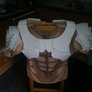 AVP torso Armour with shoulder bell and bicep Armour