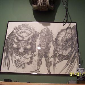 RobBoarSketch