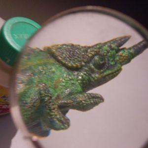 DETAILS FRON CHAMELEON