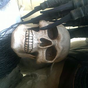 Skull 2