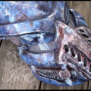 Predator 1 Custom: SubZero Helmet