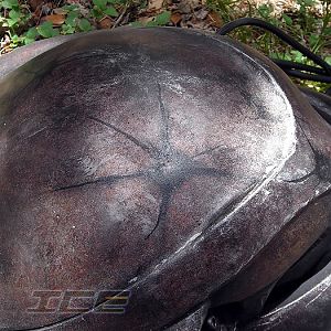 Predator 1 Helmet: Movie mold
