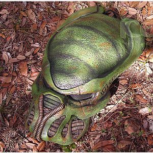 Viper Predator Helmet