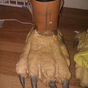 Latex dried pred feet