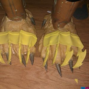 Toe dusters on pred feet