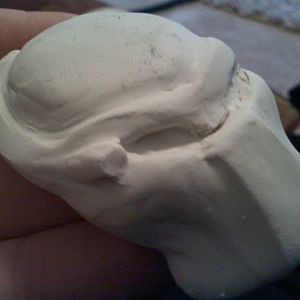 Bio mask sculpt 4