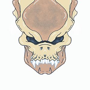 Skull Bio