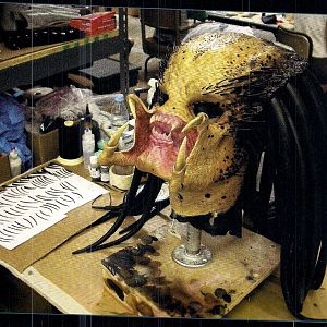 AVP 4
