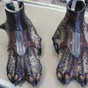 predators 03