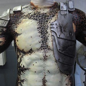 predators 17