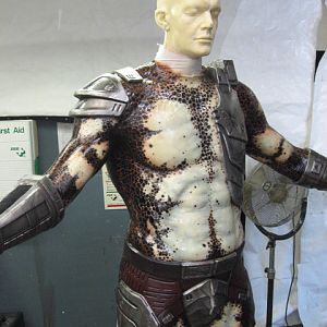 predators 23