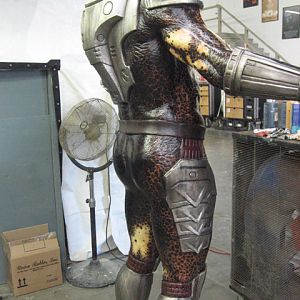 predators 26