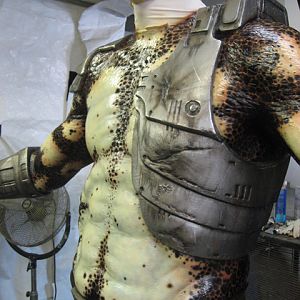 predators 31