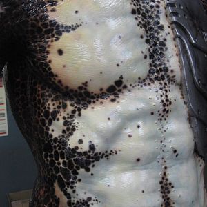 predators 36