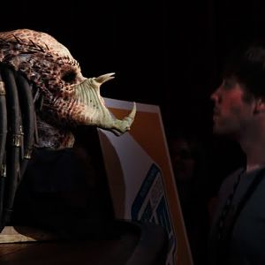 predatorKNBhead1