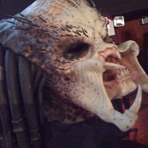 PredatorKNBhead