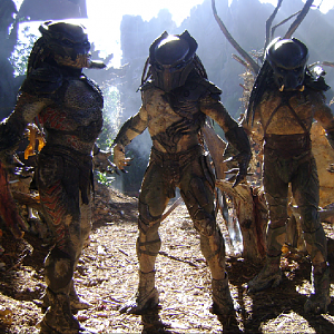 PredatorsKNB02
