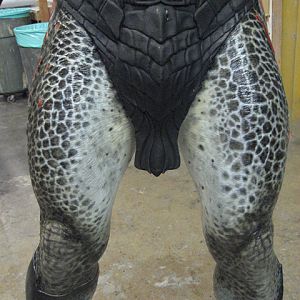 predators 46