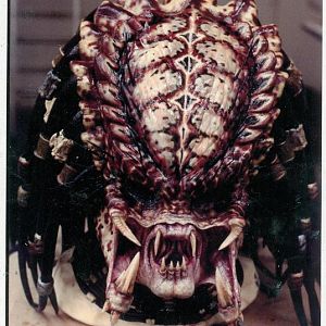 Predator95