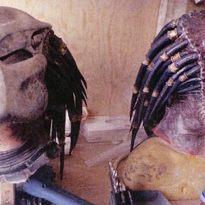 Predator29