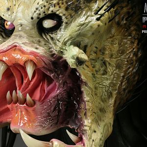 Sideshow Wolf Predator Life Size Bust 05