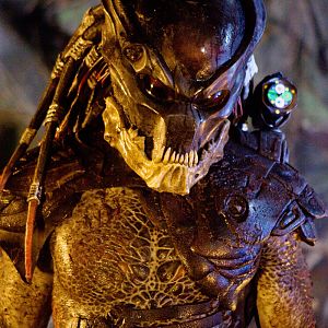 The Berserker Predator 01