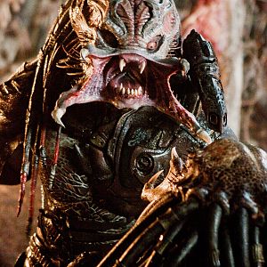 The Berserker Predator 04